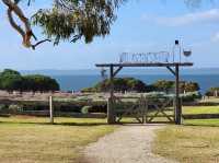 🌿 Churchill Island Weekend Escape: Cows, Lavender & Island Serenity