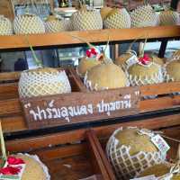 ฟาร์มเมล่อนลุงแดง ปทุมธานี 🍈📍