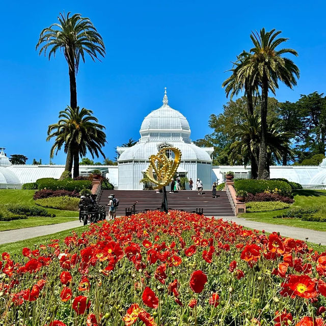 🌉✨ *"Golden Gate Getaway: A Vibrant Weekend Escape in San Francisco’s Heart!"* 🍷🌁