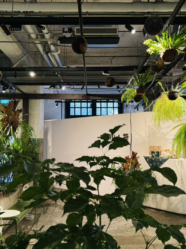Urban Jungle Meets Pineapple Charm