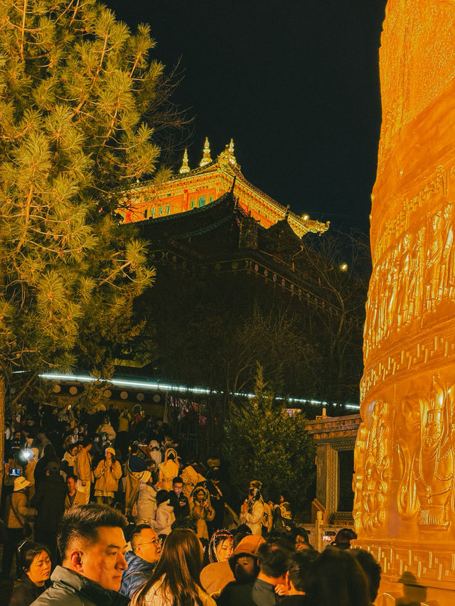 Spin and Soar: A Spring Evening at Guishan Park