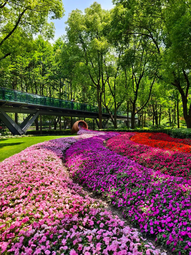 ☀️🐢 Xujiahui Park | A Peaceful Moment in the City