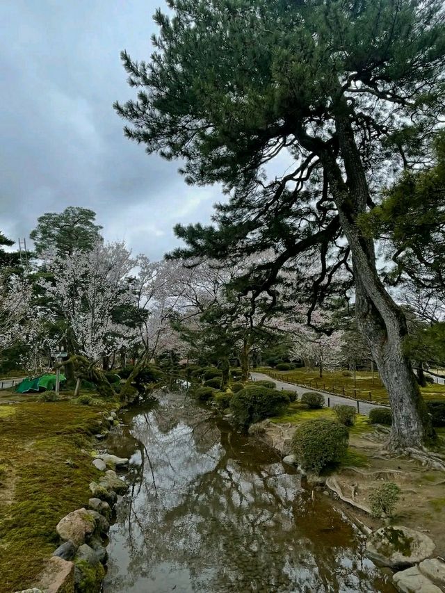 Kanazawa: Japan’s “Little Kyoto” of Art, History, and Serenity