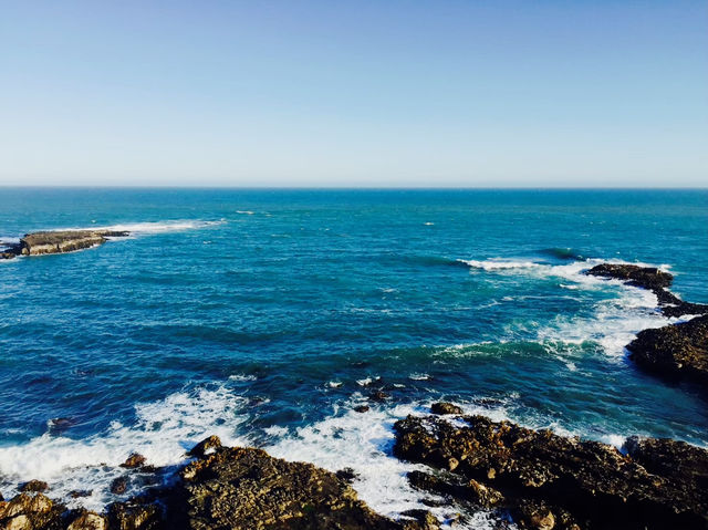 📍紐西蘭。【南島盡頭的風之詩】Slope Point：在世界的邊緣與羊群共舞