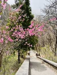 Blooming Stairmaster: China's Most Rewarding Leg Day