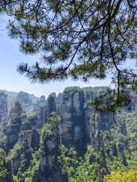 Zhangjiejie’s Avatar Peak: Where Dreams Touch the Sky!