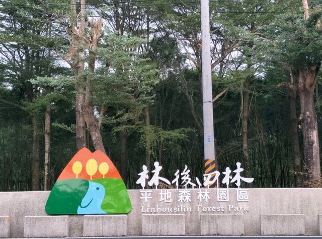 #林後四林平地森林園區-屏東縣潮州鎮