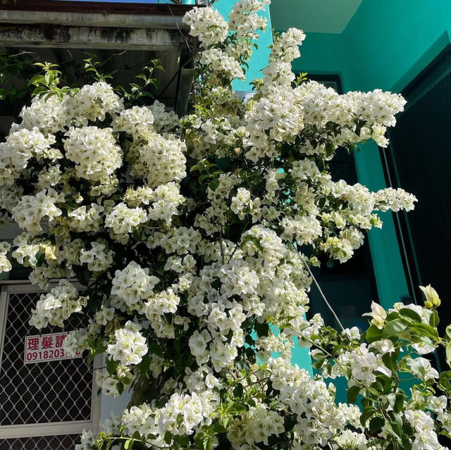 恆春半日輕旅行｜古城漫步 × 搶孤塔 × 水豚生態園超療癒