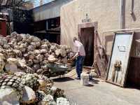 Inside the World of Cascahuín