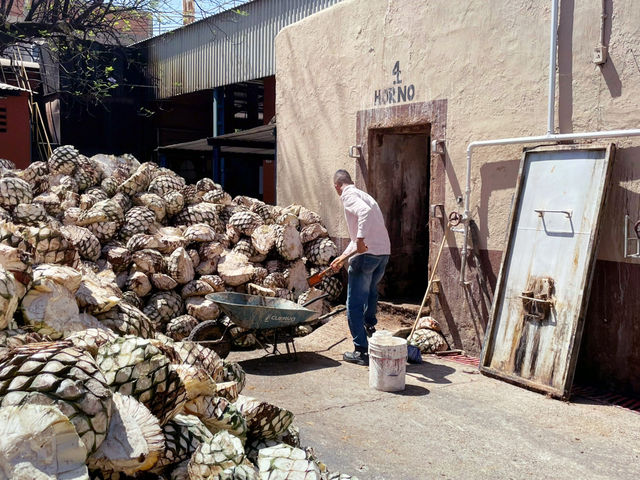 Inside the World of Cascahuín