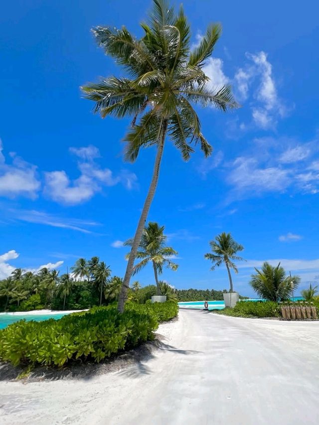 🌴 Anantara Veli Maldives Resort ⛵