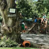 Judy’s Home Café คาเฟ่อบอุ่นและร่มรื่น