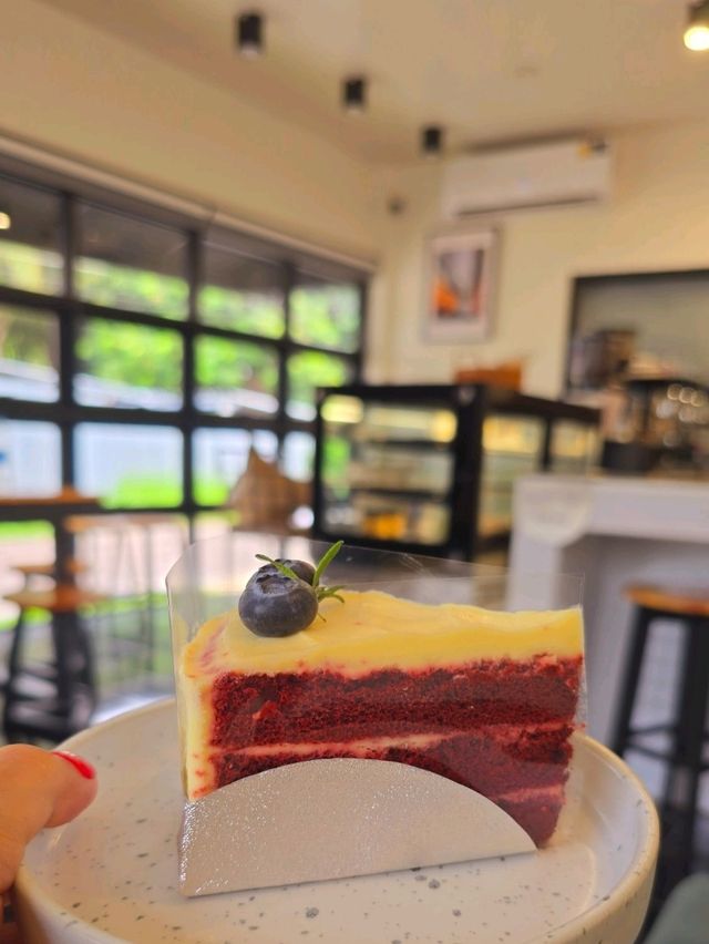 คาเฟ่เต่างอย จิบกาแฟคาเฟ่ กาแฟอร่อยมาก