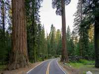 Deep into the Wilderness: Hiking Kings Canyon’s Trails