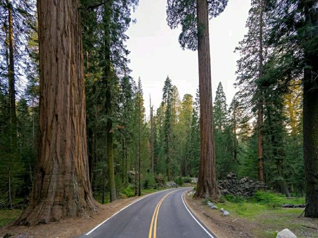 Deep into the Wilderness: Hiking Kings Canyon’s Trails
