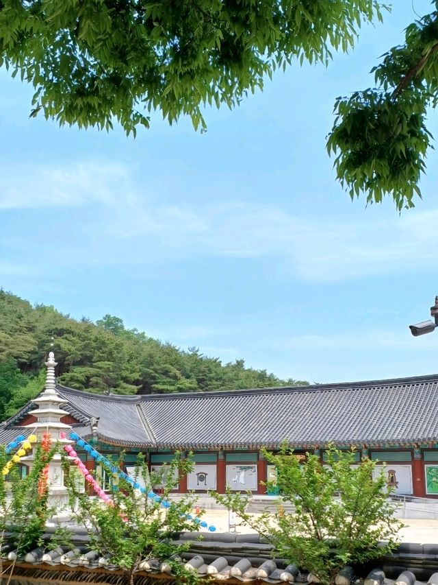 풍경 속에 스며드는 고요한 산사