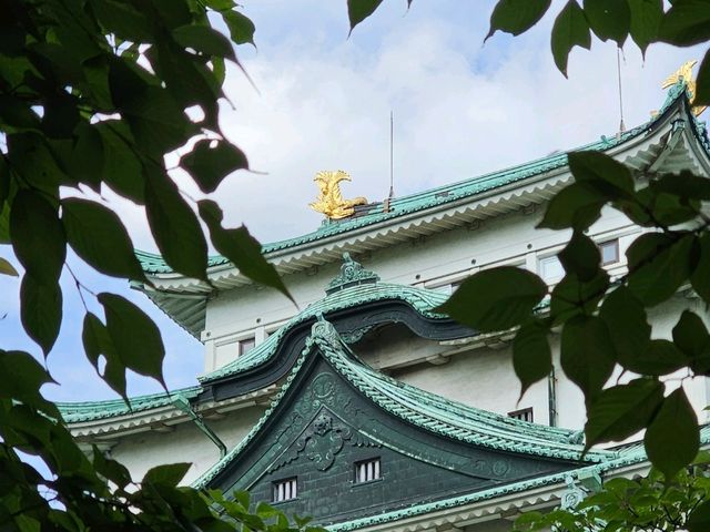 전역 후 혼자서 감미로운 일본 여행 🇯🇵