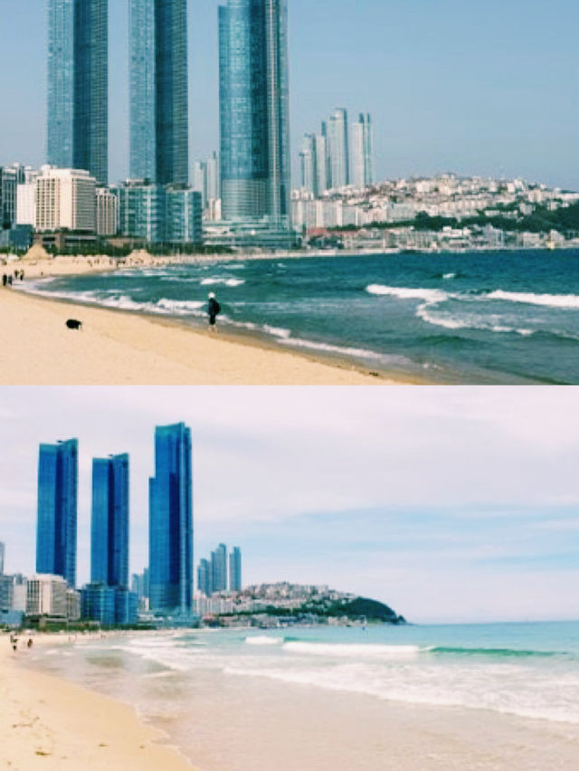 부산 로컬 감성 가득한 하루  해운대 바다부터 아홉산숲, 죽성성당까지
