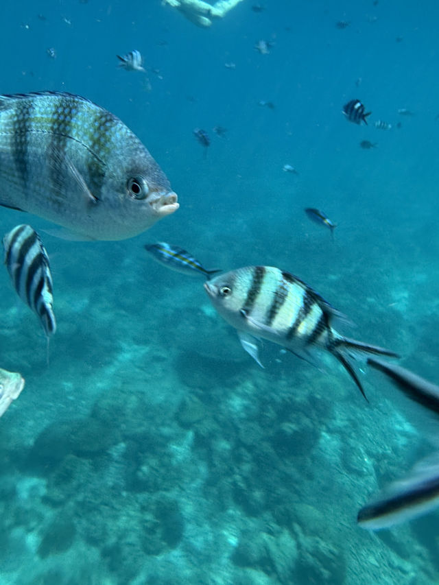 小马尔代夫之称的热浪岛Sandbank