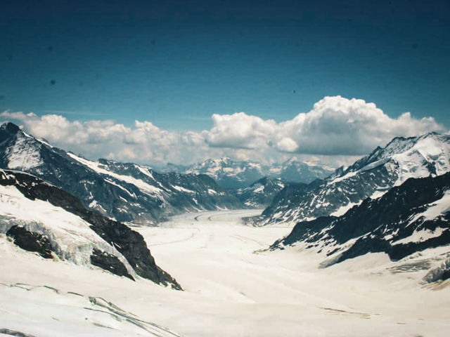 🏔️ 이거 모르고 가면 진짜 후회할 걸요? 융프라우요흐 완벽 정복💚