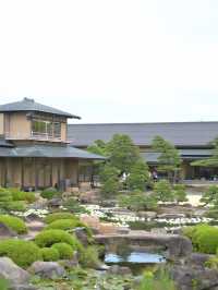 水面に咲き誇る絢爛絵巻🌸💧※観光攻略情報付き