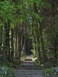 【行く前にこれ見て】神秘的な風景と絶景に心惹かれる⛩️⛰️※周辺観光情報付