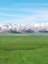 Nalati Grassland: The Emerald Crown of Xinjiang