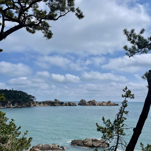 울산 바다산책길 일산해수욕장, 대왕암공원