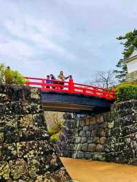 Odawara Castle – A Samurai Stronghold with Scenic Views