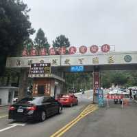 溪頭森林遊樂區🌳
