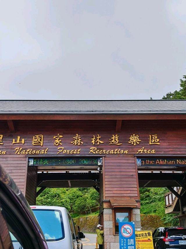 🚂 All Aboard the Red Train: Discovering Alishan Forest's Timeless Charm 🌲🍂