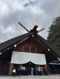 北海道神宮 櫻花季🌸
