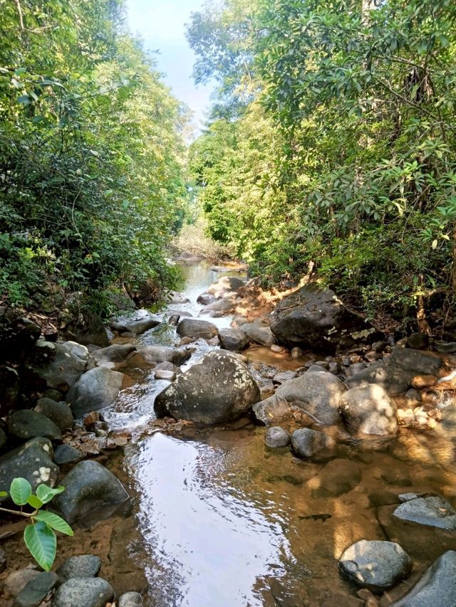 อุทยานแห่งชาติน้ำตกพลิ้ว 