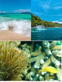 静けさと青の世界へ、シミランで心のリセットを。🌊🌿✨