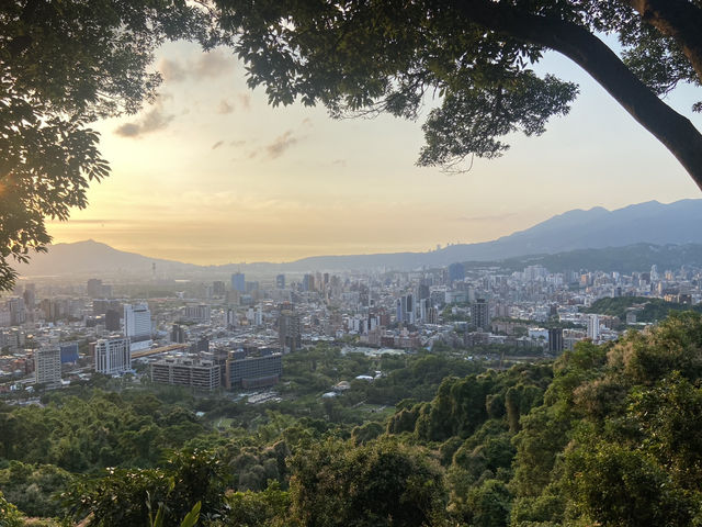  老地方觀機平台｜輕鬆步行享百萬都市景觀