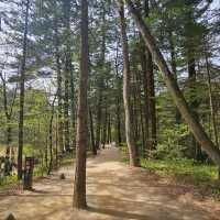 Wandering Around Woljeongsa 