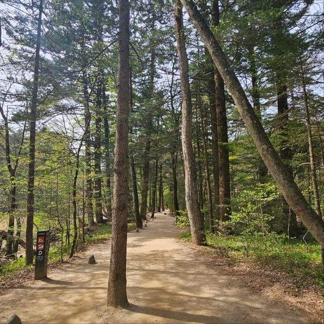 Wandering Around Woljeongsa 