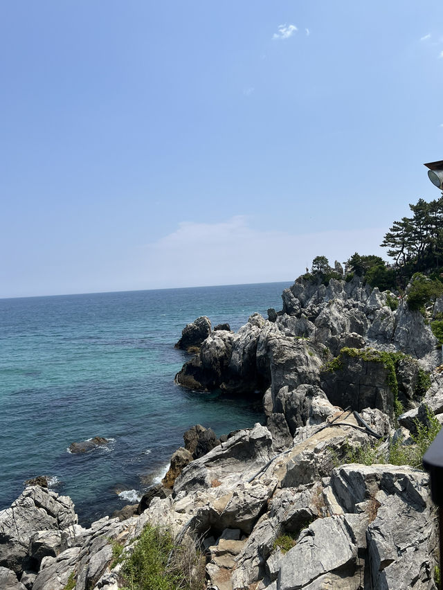 강원도 동해바다로 떠나요