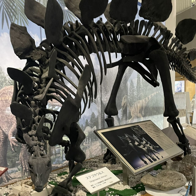 激安🦖✨️見応え抜群博物館