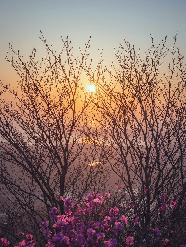 동양화 그림이 실제로 존재하는 풍경 ”도솔암“