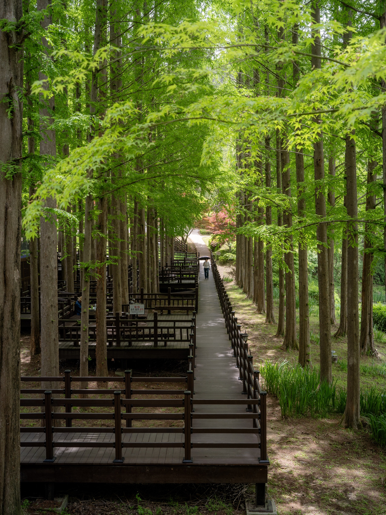 Cheongnamdae: A Presidential Retreat