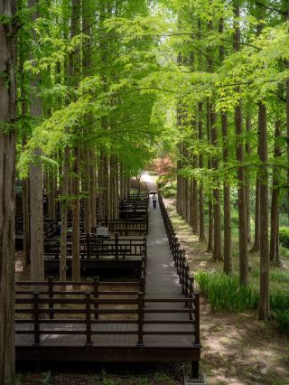 Cheongnamdae: A Presidential Retreat