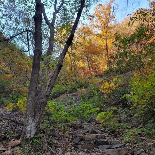 Quiet Trails Baekamsan