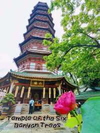 Temple of the Six Banyan Trees