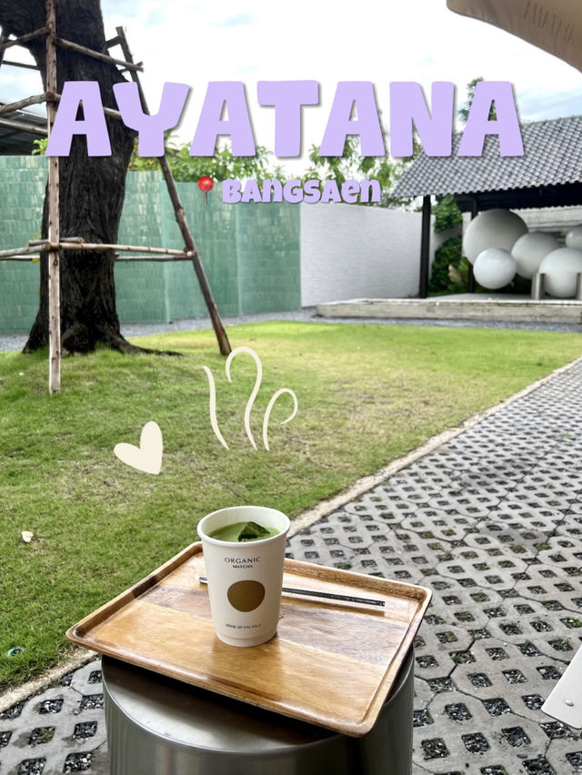 AYATANA CAFE✨