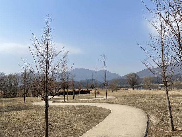 🌾 물안개 피어나는 고요한 풍경, 양평 두물머리 🌅