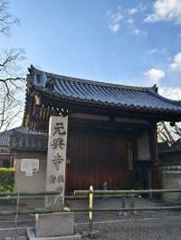 閒逛富江戶時代特色的奈良町