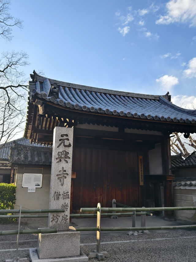 閒逛富江戶時代特色的奈良町