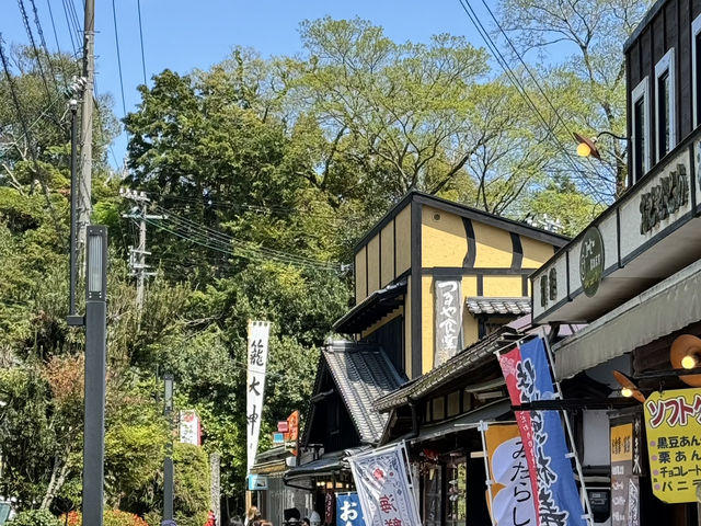 日本三大奇景之一-天橋立