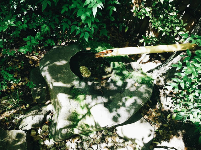 橫濱🇯🇵彼我庭園